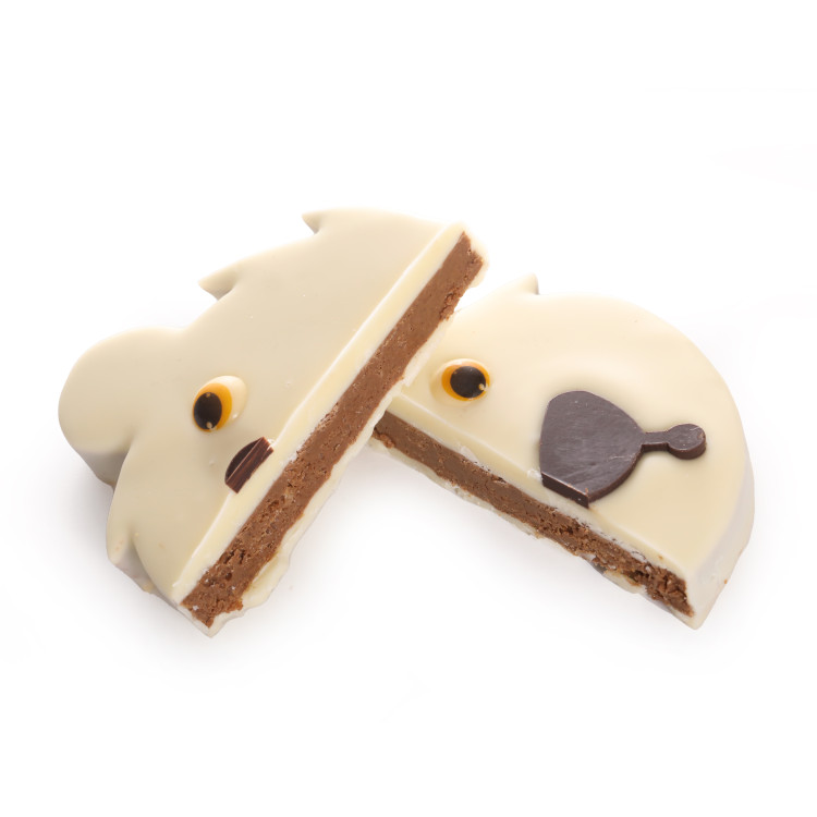 Ours chocolat blanc praliné feuilleté