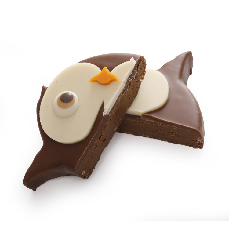 Hibou praliné pétillant chocolat lait Noël