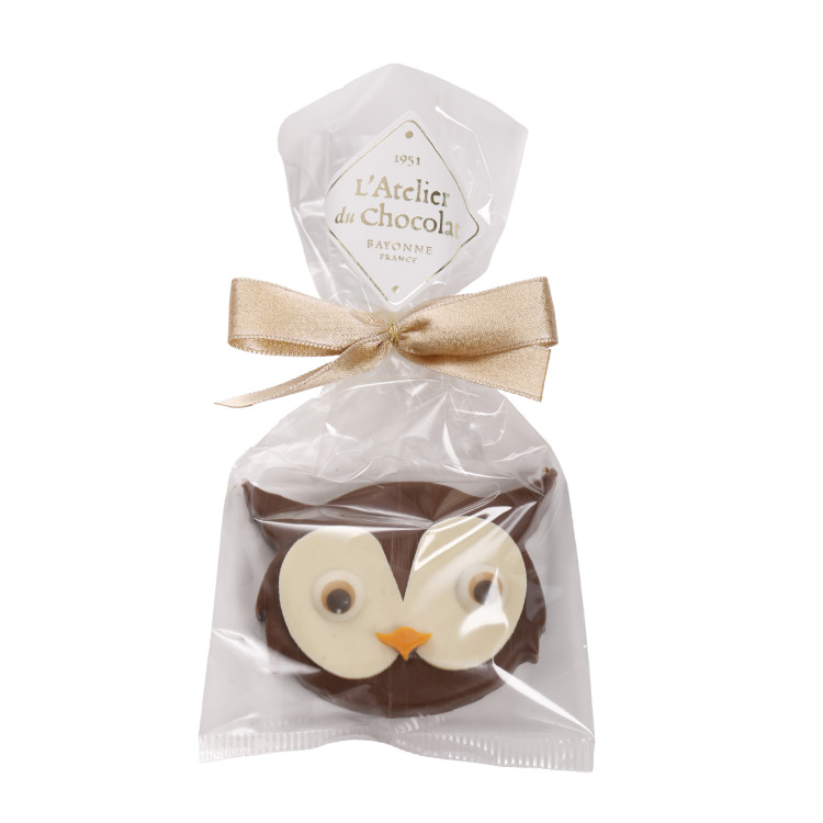 Hibou praliné pétillant chocolat lait Noël