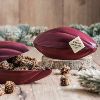 CABOSSE GARNIE DE FEUILLANTS D'OR LIVRAISON CHOCOLATS NOËL MOULAGE CADEAU ORIGINAL JOYEUSES FETES