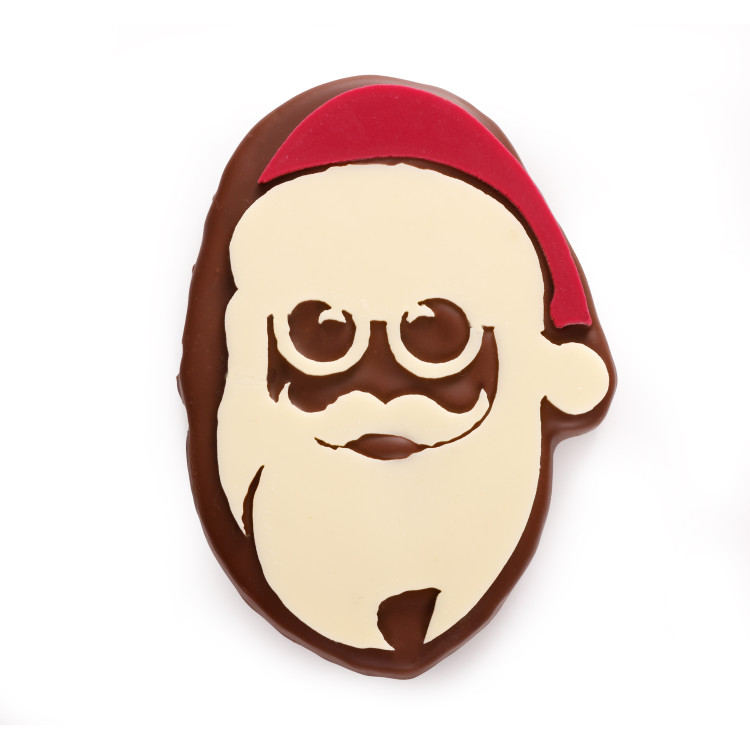 Père noël gianduja noisettes chocolat au lait livraison express cadeau chocolats de Noël cadeau gourmand fin d'année