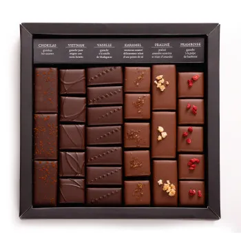 Boîte de chocolats noir lait Ilbarritz