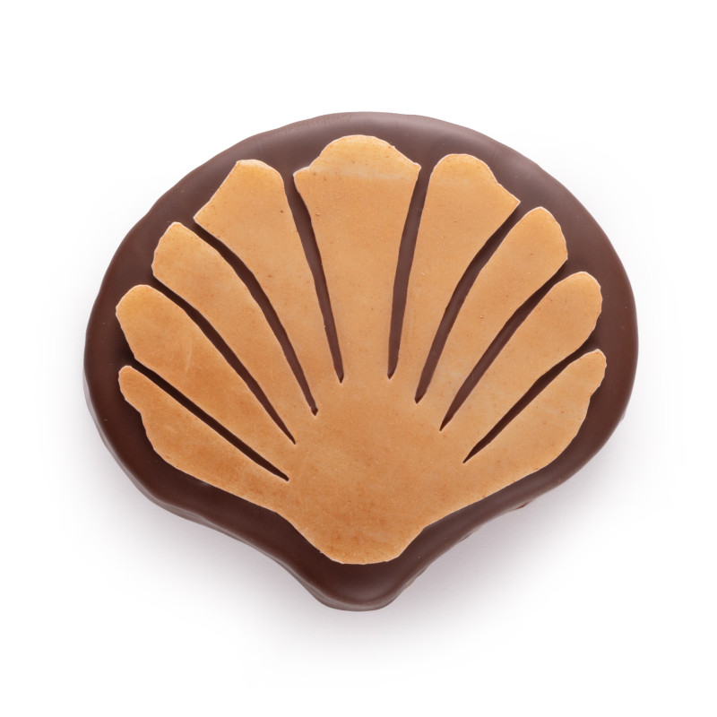 Coquillage praliné rocher chocolat au lait