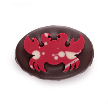 Crabe praliné coco chocolat noir livraison rapide chocolats de pâques