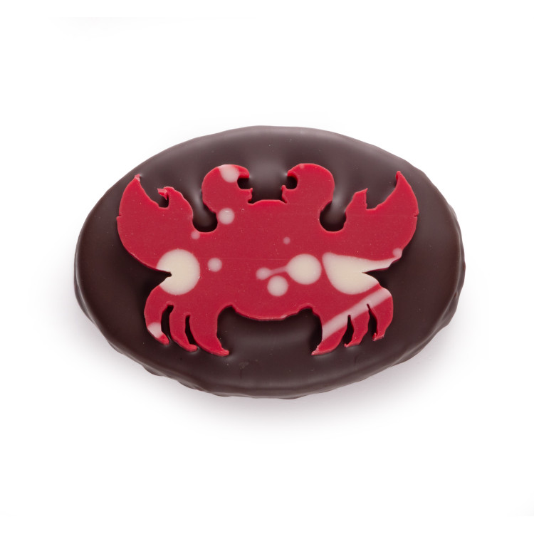 Crabe praliné coco chocolat noir livraison rapide chocolats de pâques