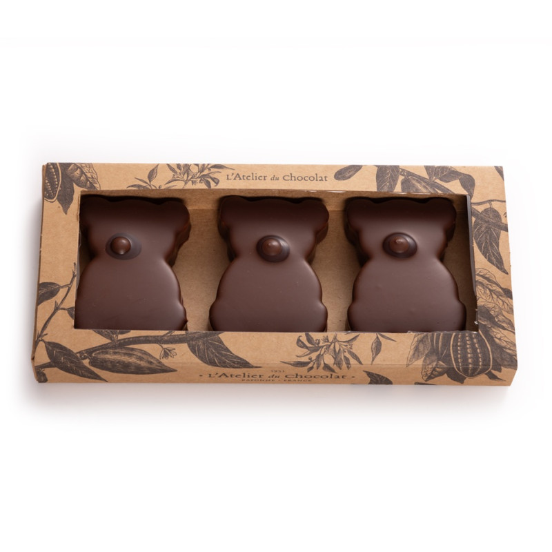 Boîte de 3 Oursons guimauve vanille chocolat au lait