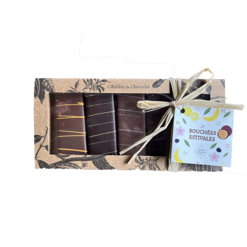 Coffret 5 bouchées fruitées chocolat noir lait