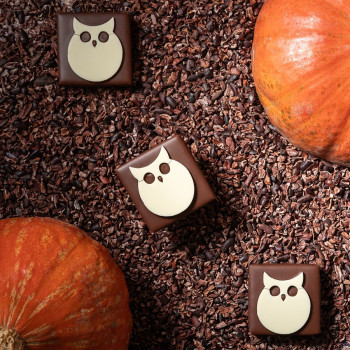 Bouchée Hibou Halloween chocolat au lait et praliné pétillant collection chocolats enfants halloween