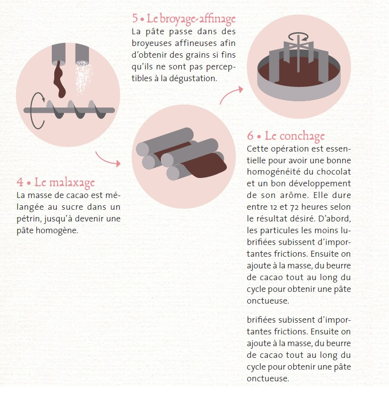 Étapes 5 et 6 : Chocolat et poudre de Cacao 